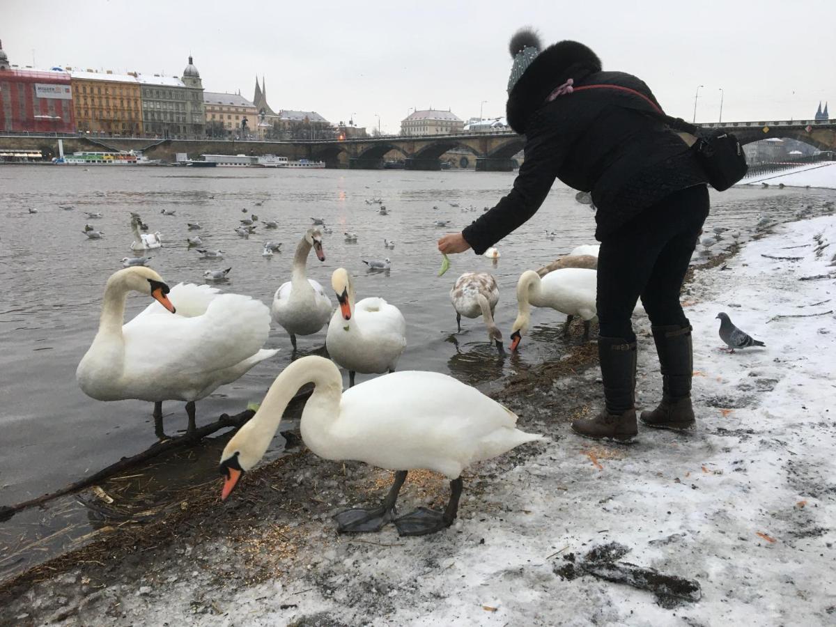 Apartment Vltava Прага Екстериор снимка